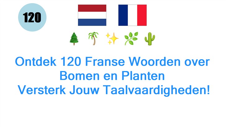 Ontdek 120 Franse Woorden over Bomen en Planten: Versterk Jouw Taalvaardigheden!